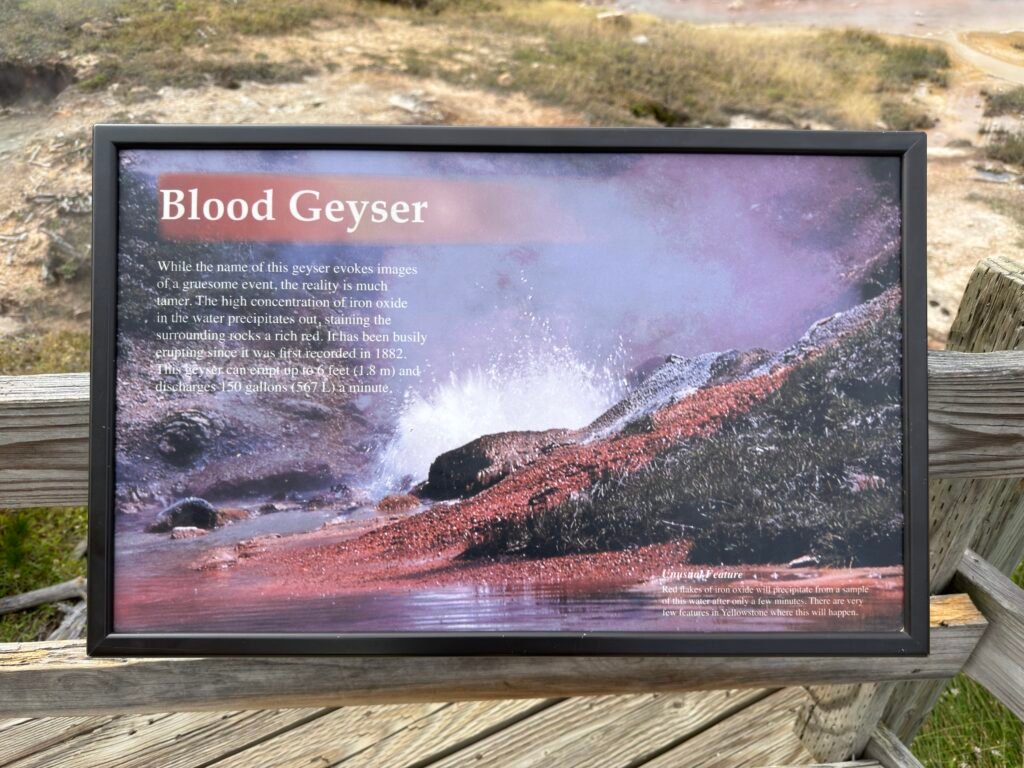 blood geyser